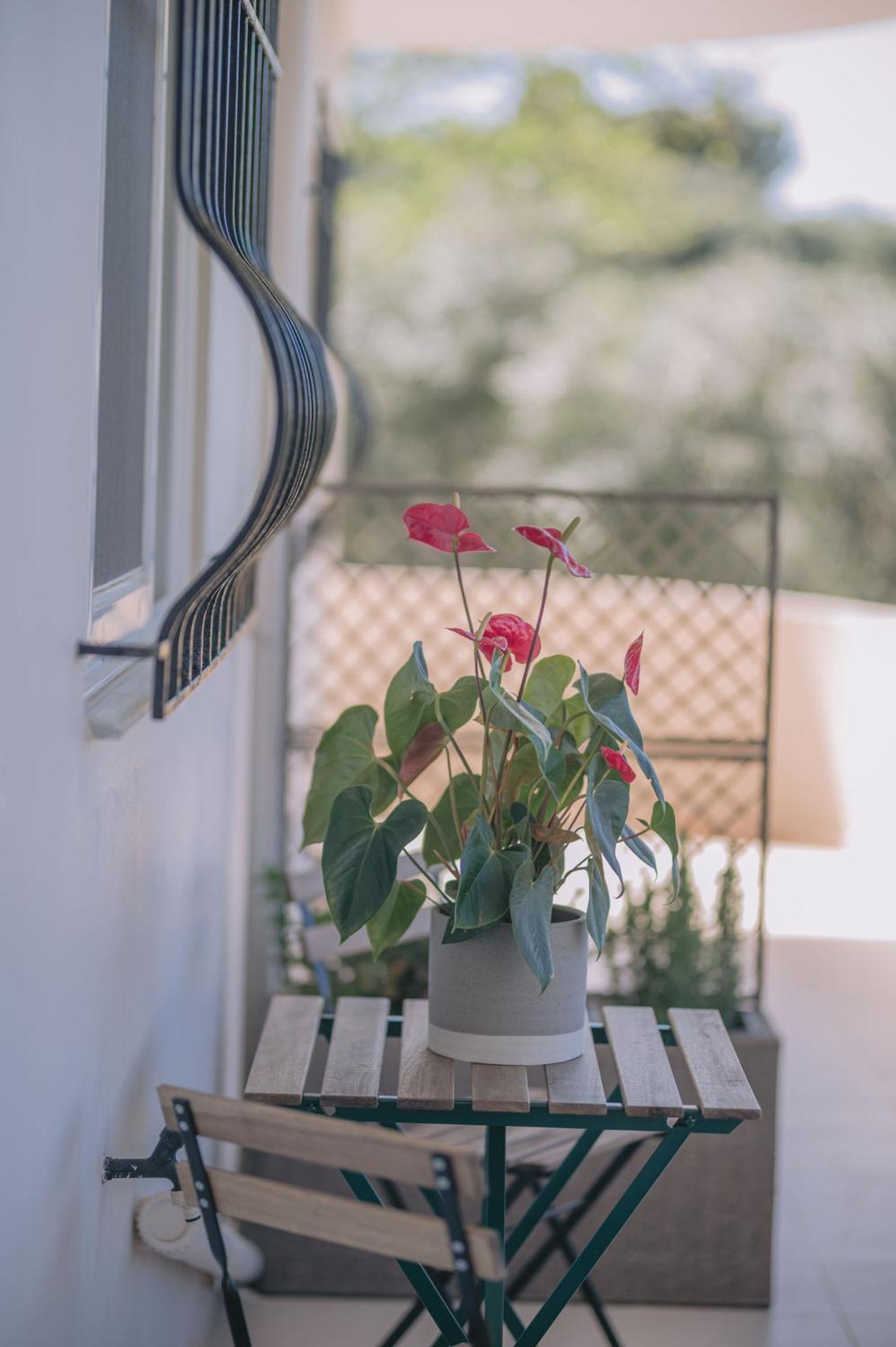 Summer Blue Apartments Chania ハニア エクステリア 写真